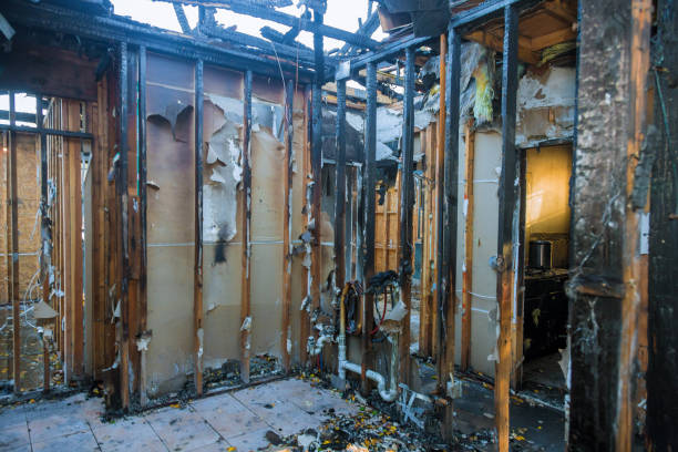 Professional Fire Damage Removal technician working in Arizona, AZ